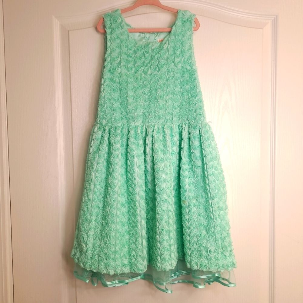 Mint Green Spring Floral Dress
